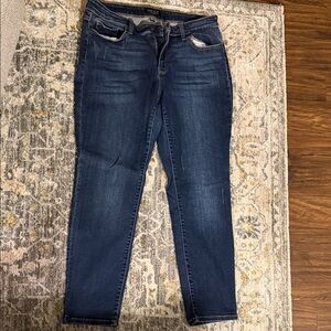 Judy Blue Dark Wash Skinny Jeans